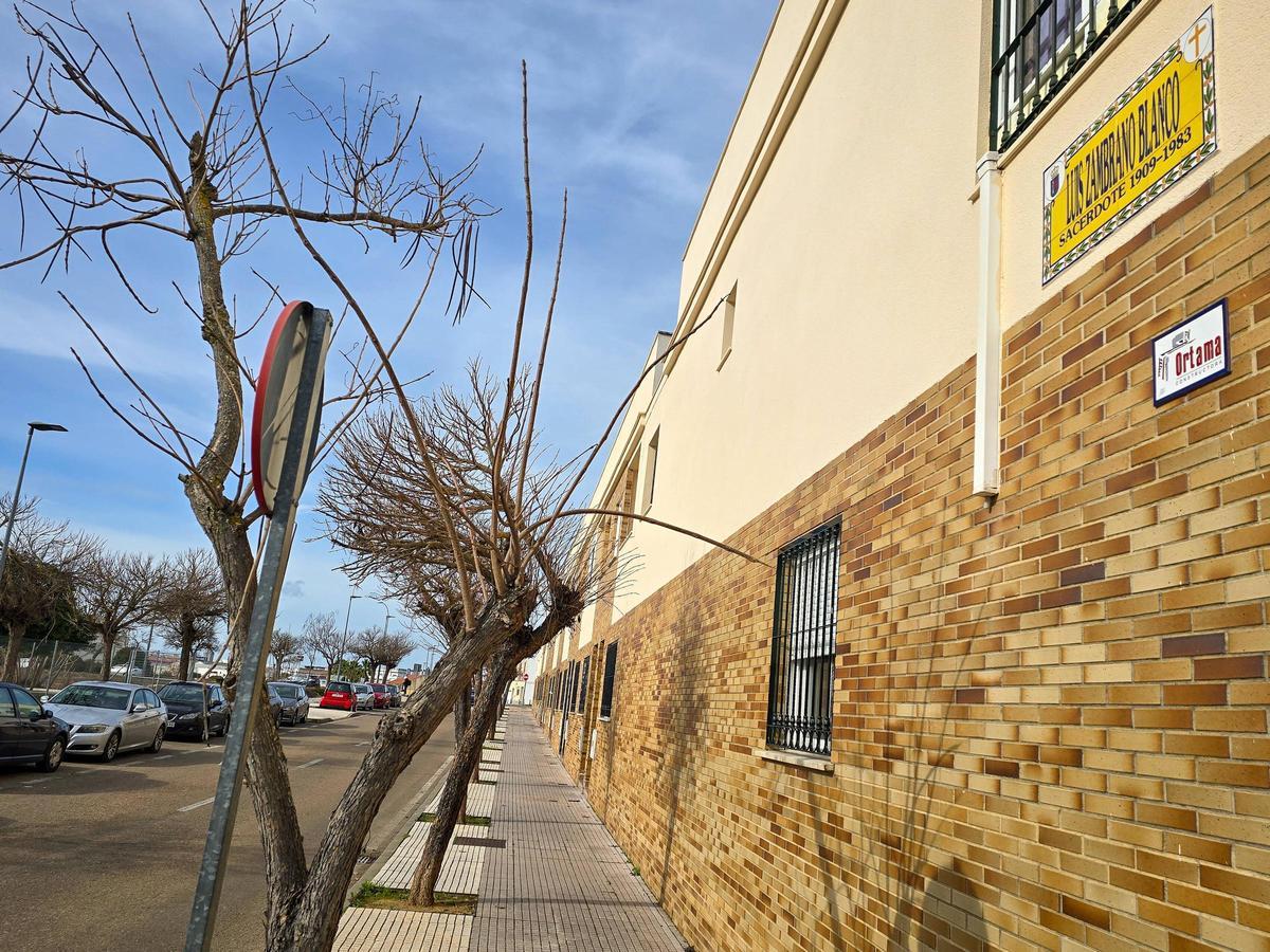 Calle Luis Zambrano Blanco de Badajoz.