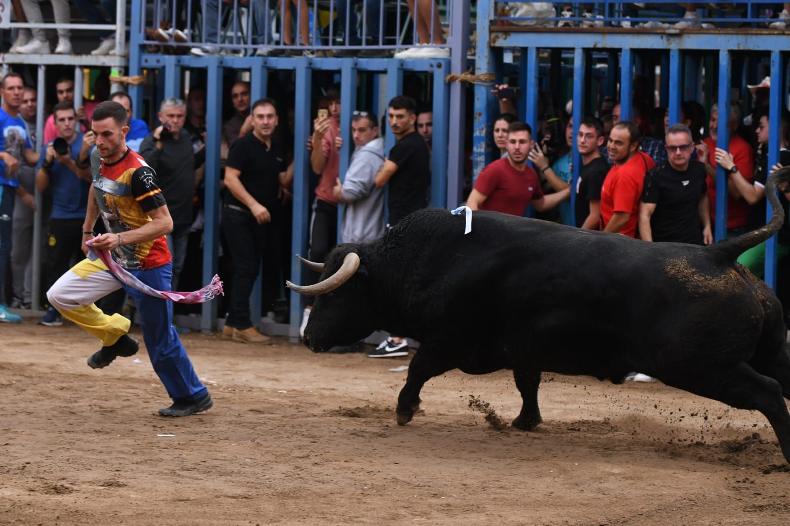 Exhibición de cuatro toros de Partida Resina en Onda