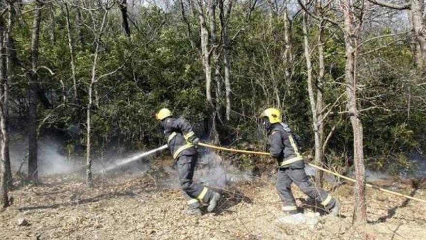 La DGA prevé remitir en breve una ley de coordinación de bomberos