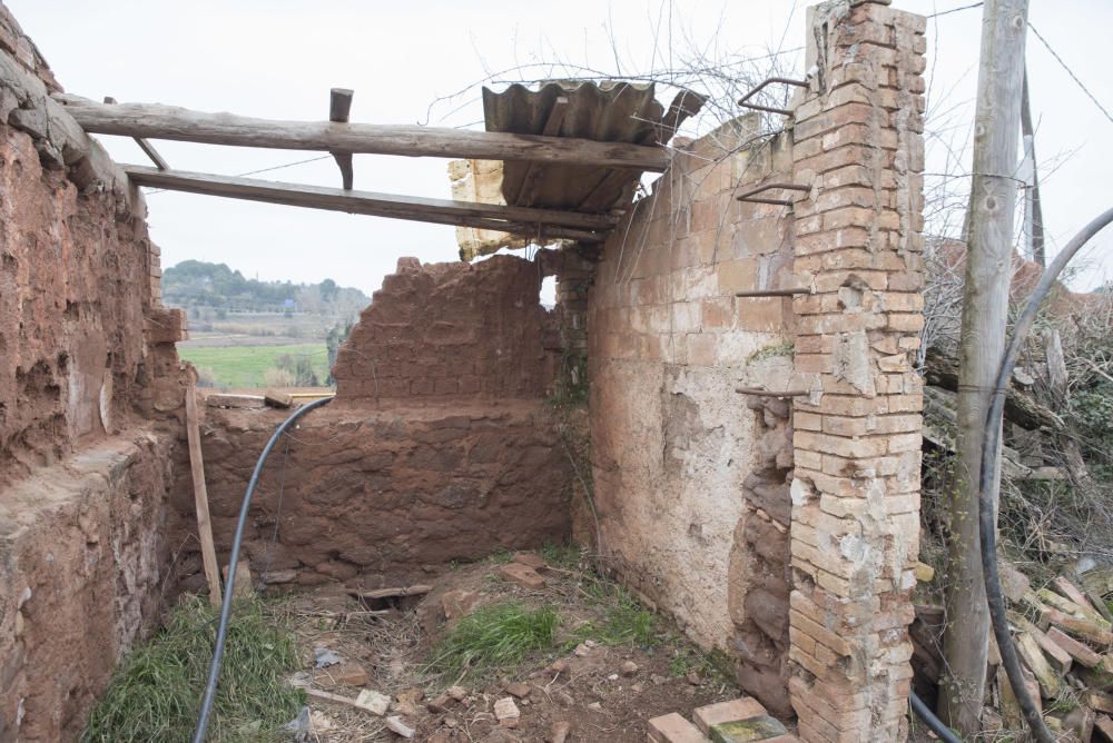 Cavalls i gossos a la torre Lluvià