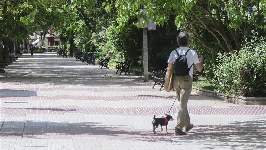 Cánovas se hará peatonal desde el domingo y no habrá, de momento, mercado franco