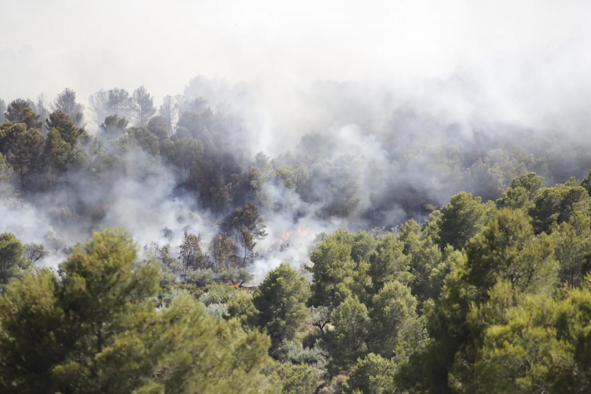 Incendio en la Serra Calderona