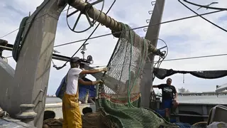 Los pescadores de Castellón estrenan las redes de la "ruina"