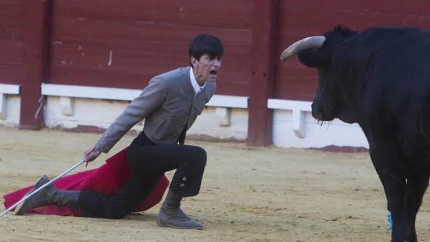 Un momento de la actuación de Kevin Alcolado ayer en la plaza de toros de Alicante.