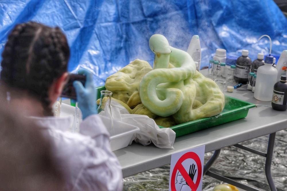 Feria de la Química en La Orotava.