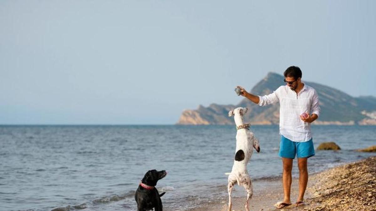 Platja per a gossos
