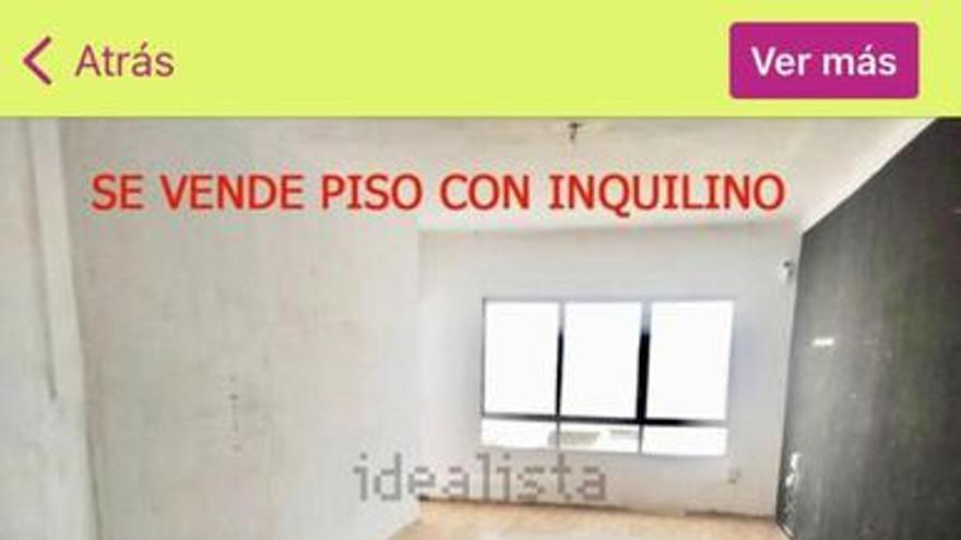 Se vende piso en Palma con inquilino durante cuatro años