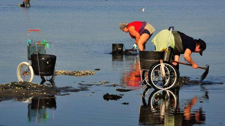 Mariscadoras en la ría de Arousa. // Iñaki Abella