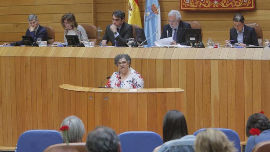 La Valedora en una intervención ante el Parlamento.