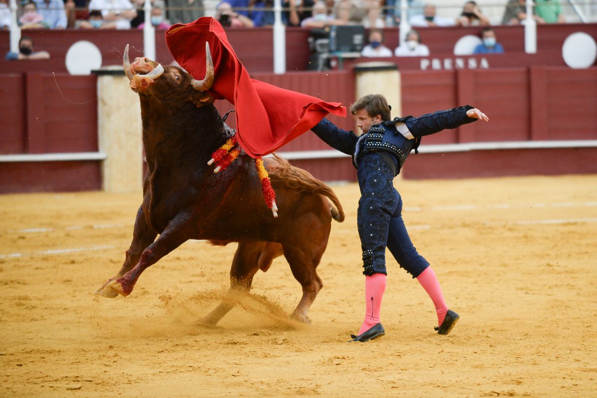 Las imágenes de la novillada en La Malagueta de la Feria taurina de Málaga de 2021.