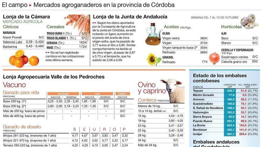 Sigue subiendo el precio de la aceituna de aderezo