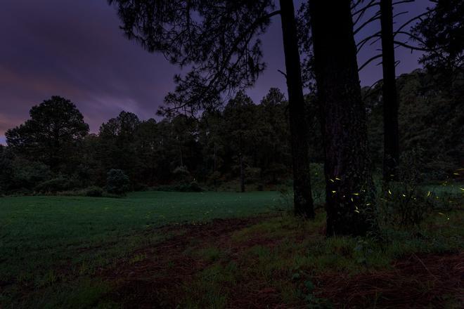 Nanacamilpa, lugares noche