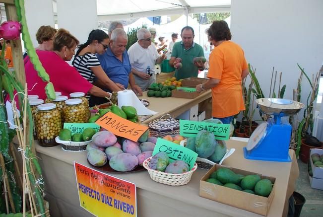 I Feria del Mango y Aguacate de Verano de Mogán