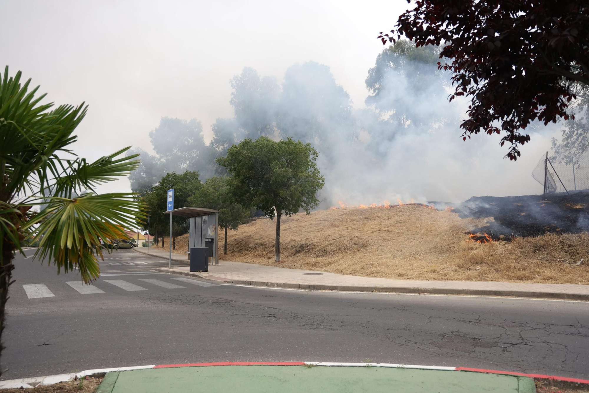 Incendio de pastos en unas pistas de fútbol de La Mejostilla