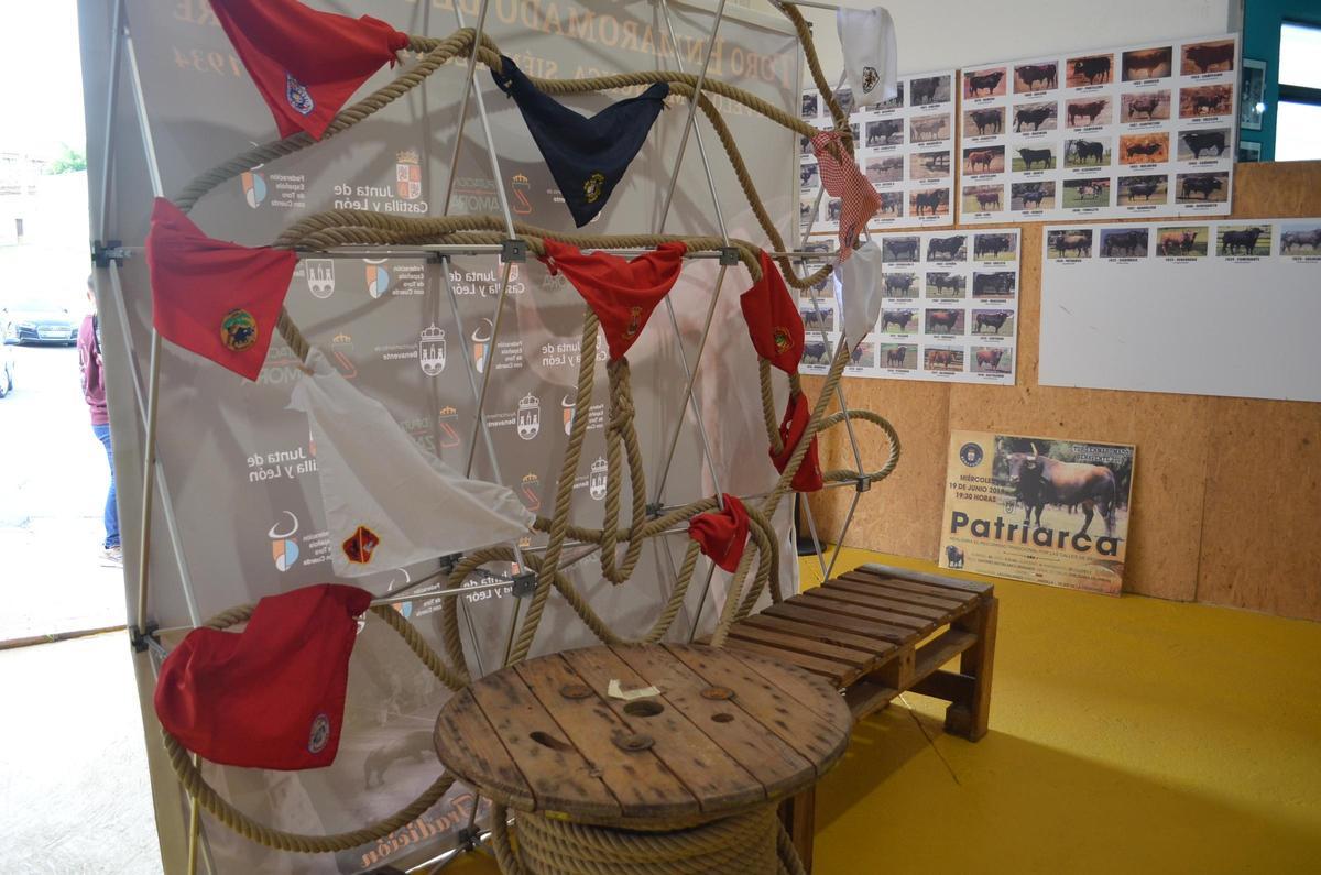 Exposición del pasado al presente del Toro Enmaromado.