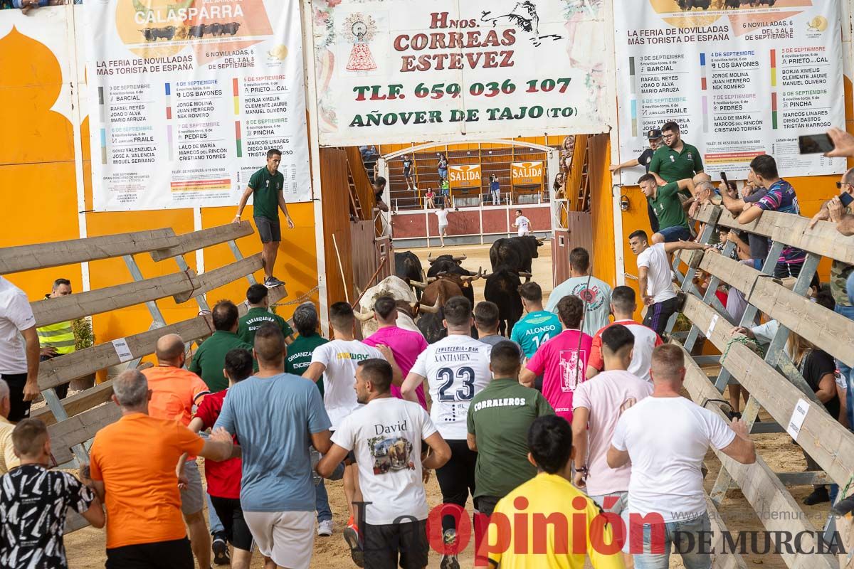 Primer encierro de la Feria Taurina del Arroz en Calasparra