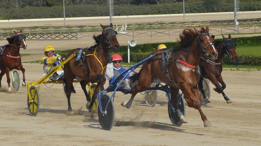 Elan du Rocher acumula créditos suficientes para repetir victoria en Son Pardo