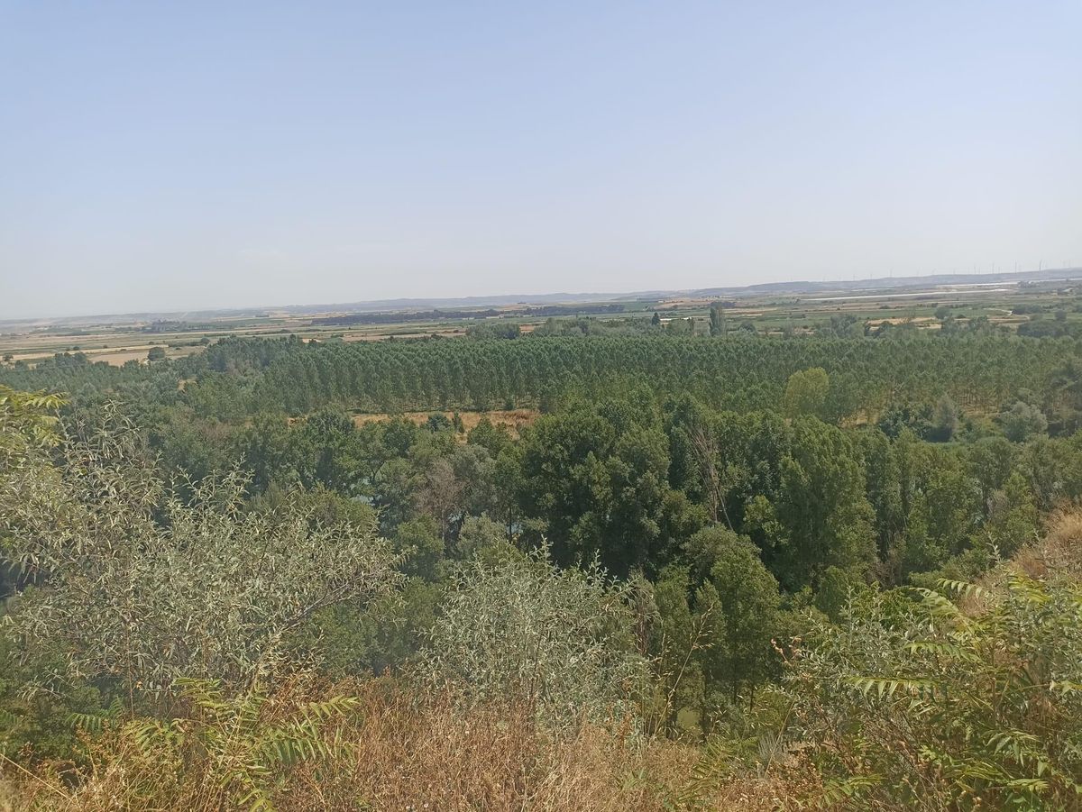 Vista de la ribera navarra que se tiene desde el alto de la Plaza de los Fueros de Milagro.