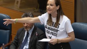 Isabel Pérez Moñino, portavoz de Vox en la Asamblea de Madrid.