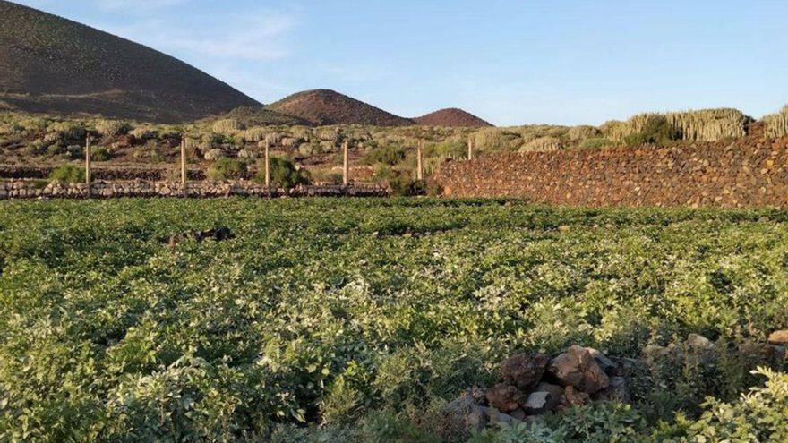 Otra herida en el Malpaís