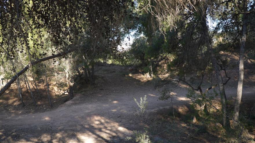 El Ayuntamiento de Málaga invierte 700.000 euros en la mejora de parques forestales