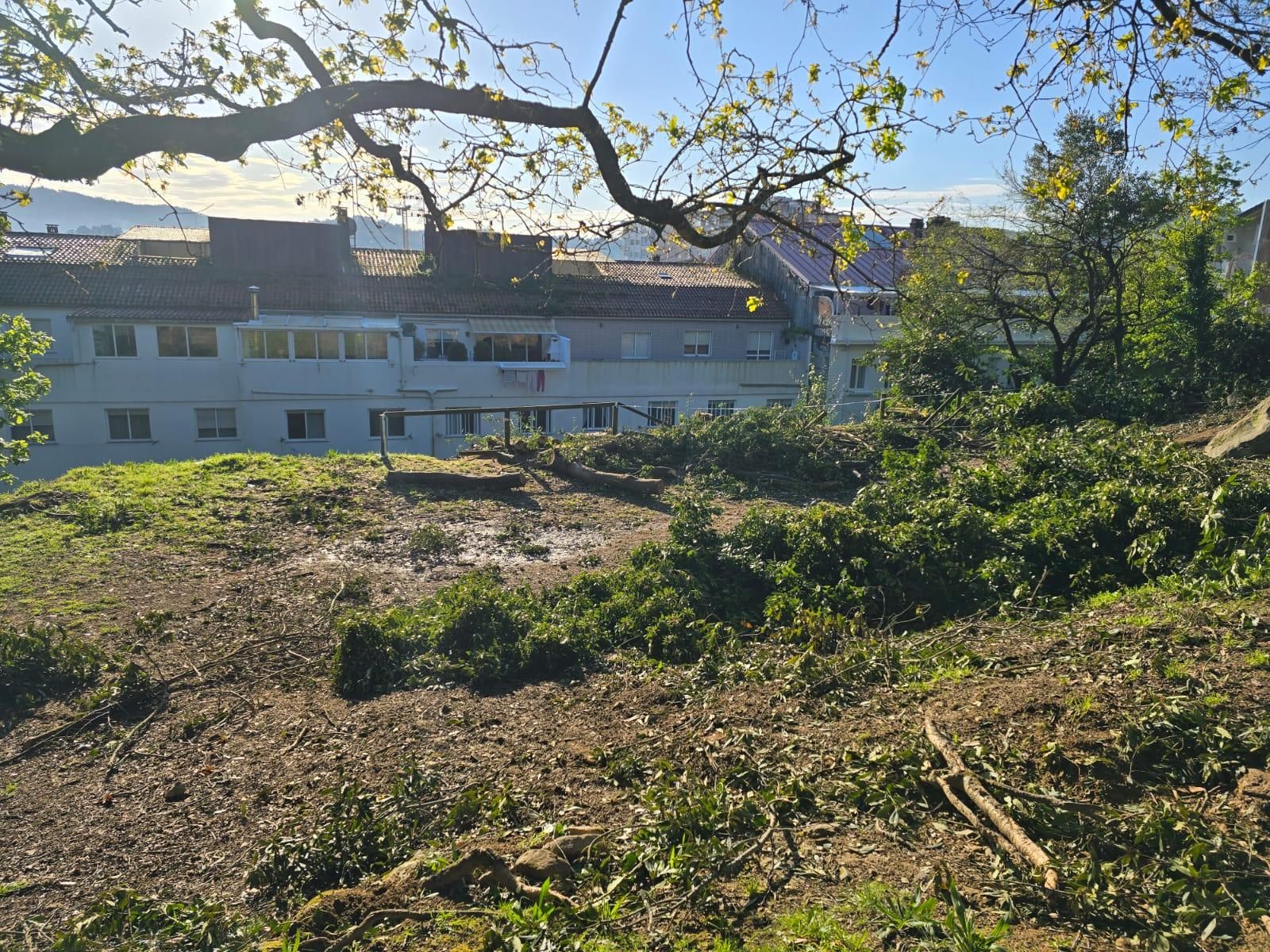 Los operarios municipales retomaron la tala de seguridad en el Parque Botánico Enrique Valdés Bermejo.