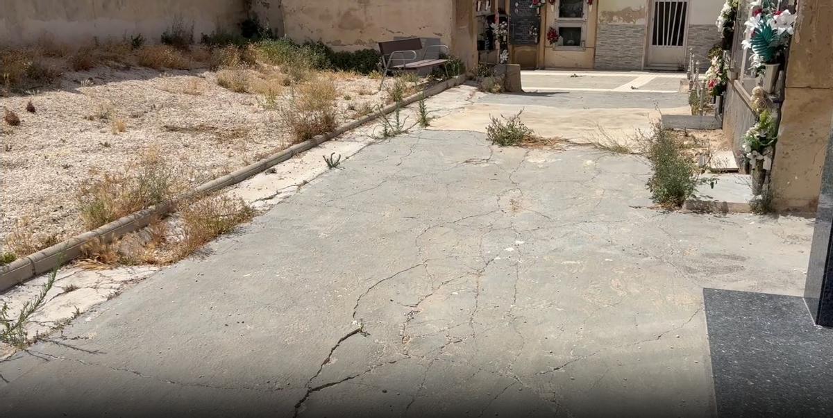 Mal estado del acceso a nichos con maleza en el Cementerio Viejo de Elche
