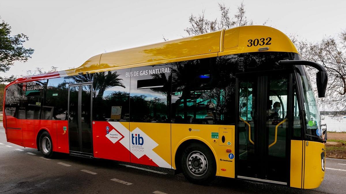 Consulta aquí las nuevas líneas de bus para mejorar las conexiones con las playas del Llevant y Norte de Mallorca