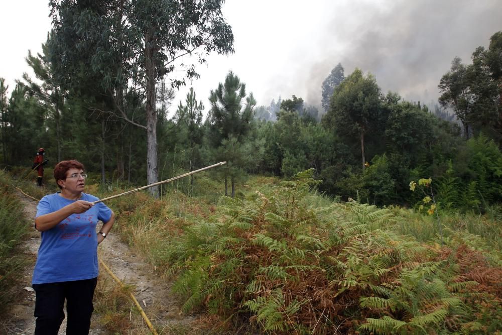 Arbo lucha contra el fuego