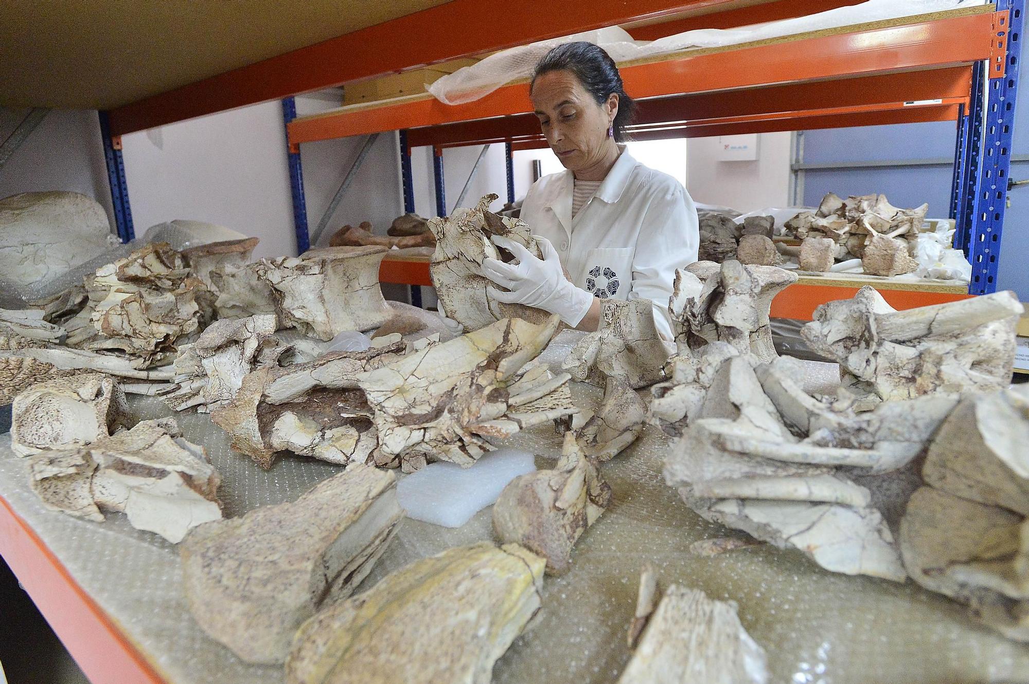 Fondos almacenados MUPE
