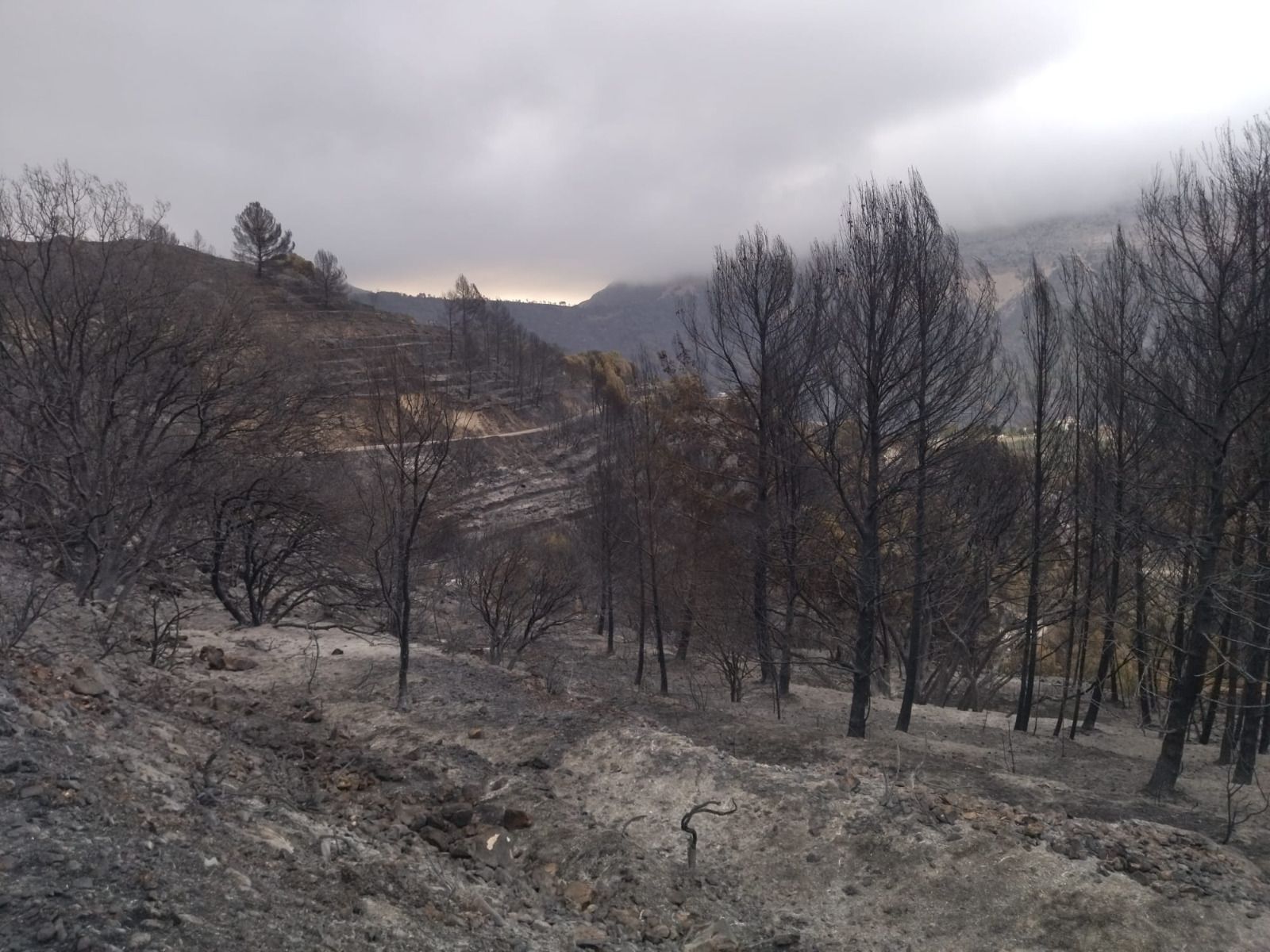 La destrucción del incendio de Tàrbena, en imágenes