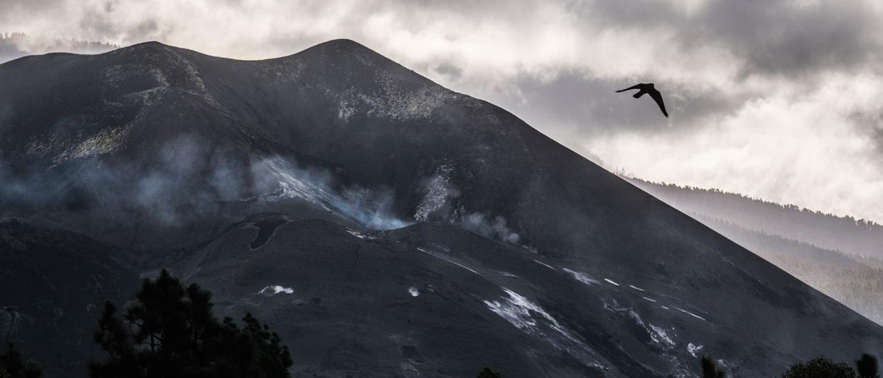 Volcán de Cumbre Vieja, en La Palma