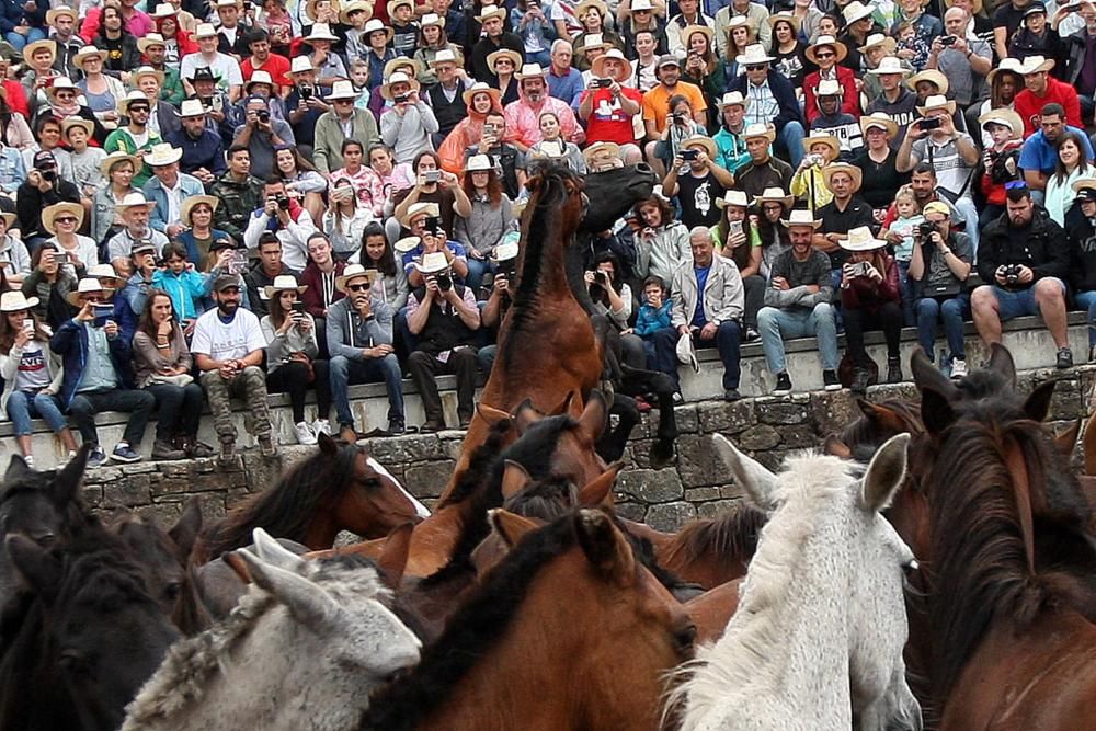 Última jornada de A Rapa das Bestas 2017