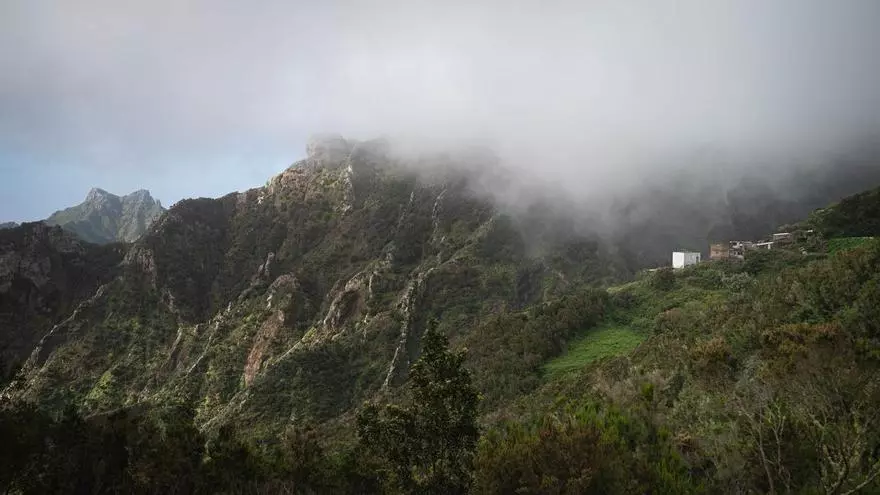 Tenerife Vaciada -  El Cresal