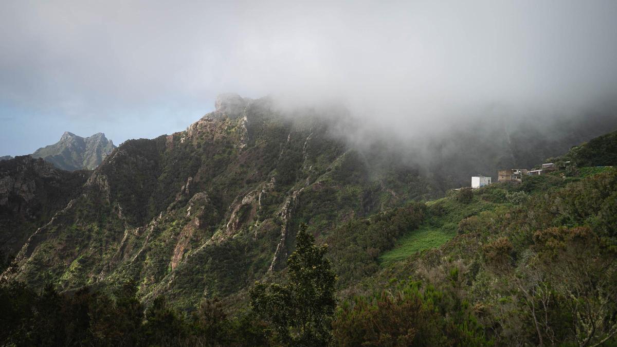 Tenerife Vaciada - El Cresal