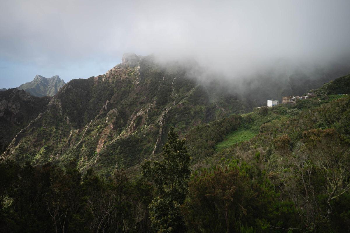 El Cresal, en Santa Cruz de Tenerife