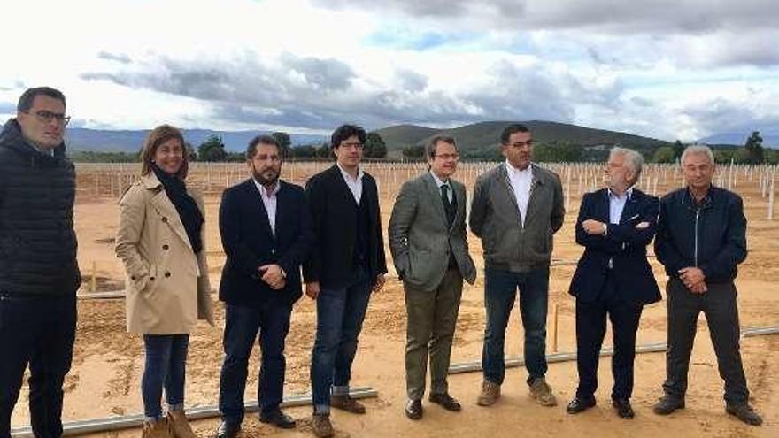 Tahoces, en la planta fotovoltaica de Vilardevós. // FdV