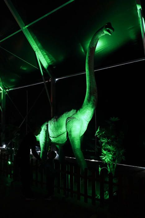 La exposición itinerante 'Dinosaurs Tour', la considerada como mayor muestra de estos animales animatrónicos a escala real se encuentra en una carpa junto al Palacio de Congresos hasta el domingo 16