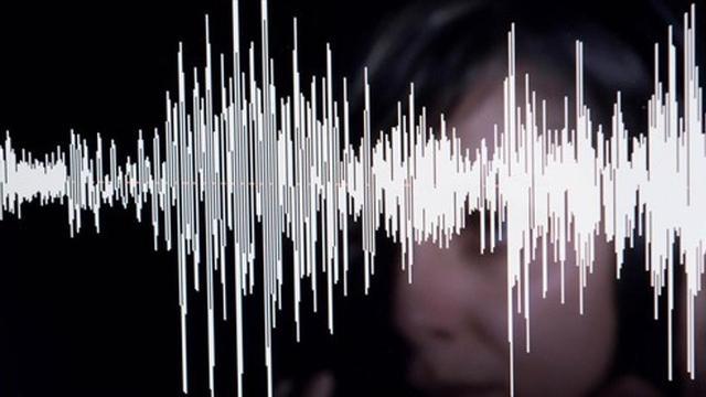 frecuencia de voz