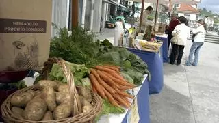 Patatas, zanahorias y lechugas iceberg, los alimentos con IVA rebajado que más suben en abril