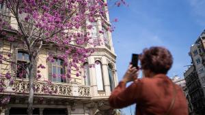 Una mujer fotografía con su teléfono un árbol de Judea.