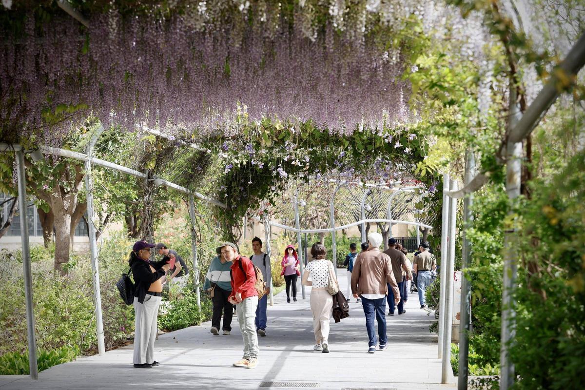 Paseo bajo vegetación en el Parc Central