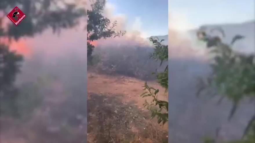 Arden dos hectáreas de matorral en Monóvar