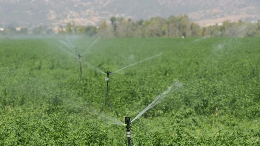 El campo cordobés reclama la ampliación de los regadíos a 100.000 hectáreas