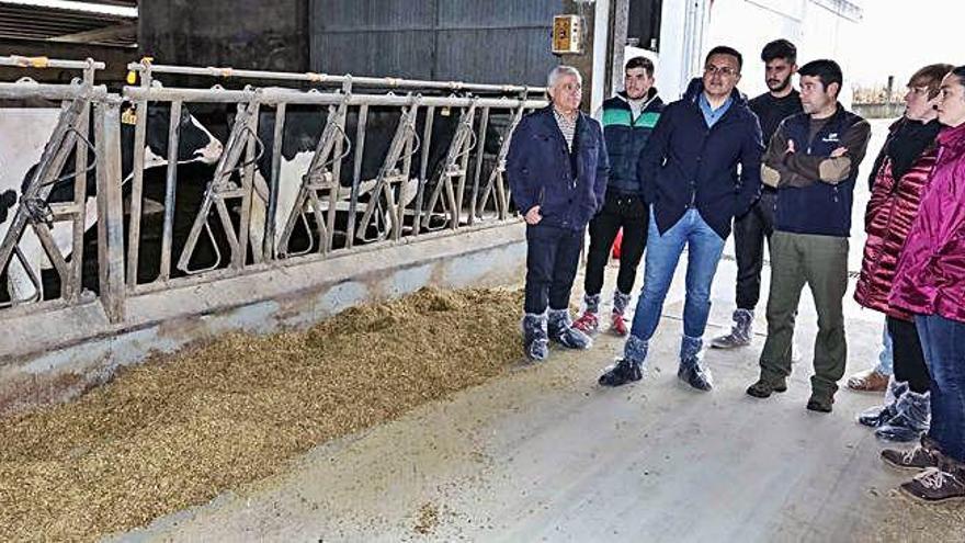 El conselleiro de Medio Rural visitó ayer una explotación en Trazo.