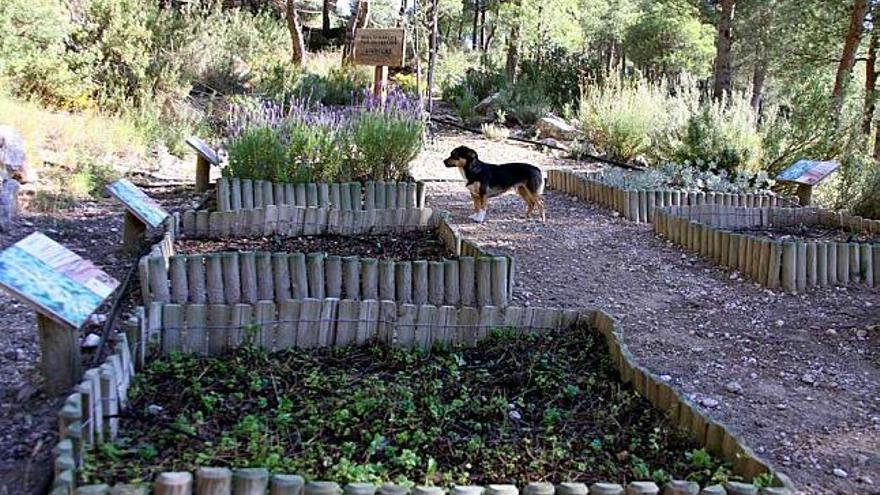 La Estación Biológica de Torretes, donde se lleva a cabo la investigación.