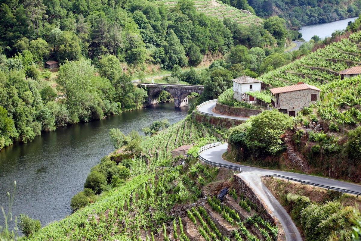 Galicia Interior, Ribeira Sacra