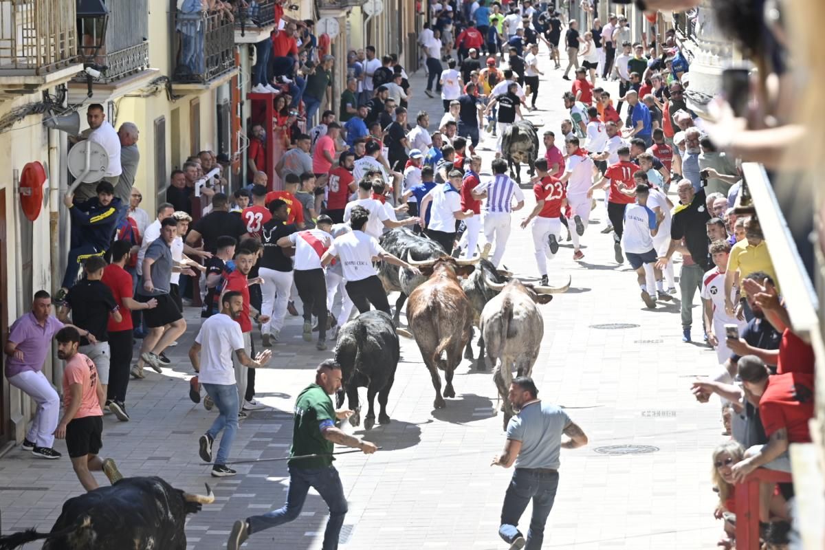 Galería | Almassora vibra con el encierro de cerriles de Gerardo Ortega
