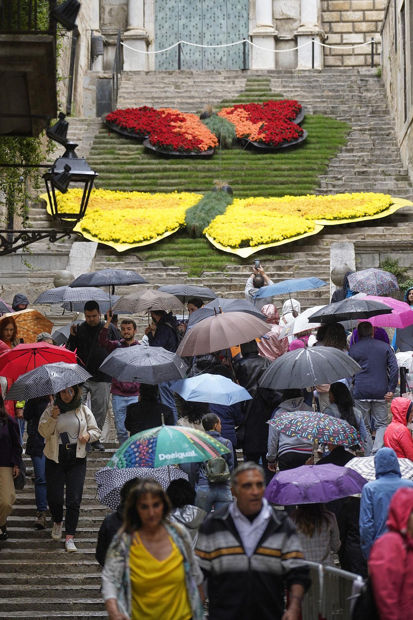 L'últim dia de Temps de Flors en imatges