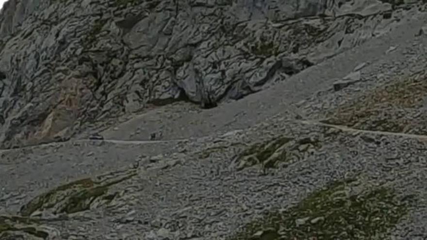 La invasión motorizada de Picos de Europa